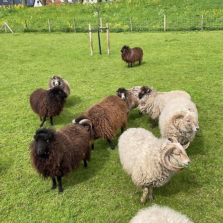Vakantiewoning Le Garaazje 'S-Gravendeel Bagian luar foto