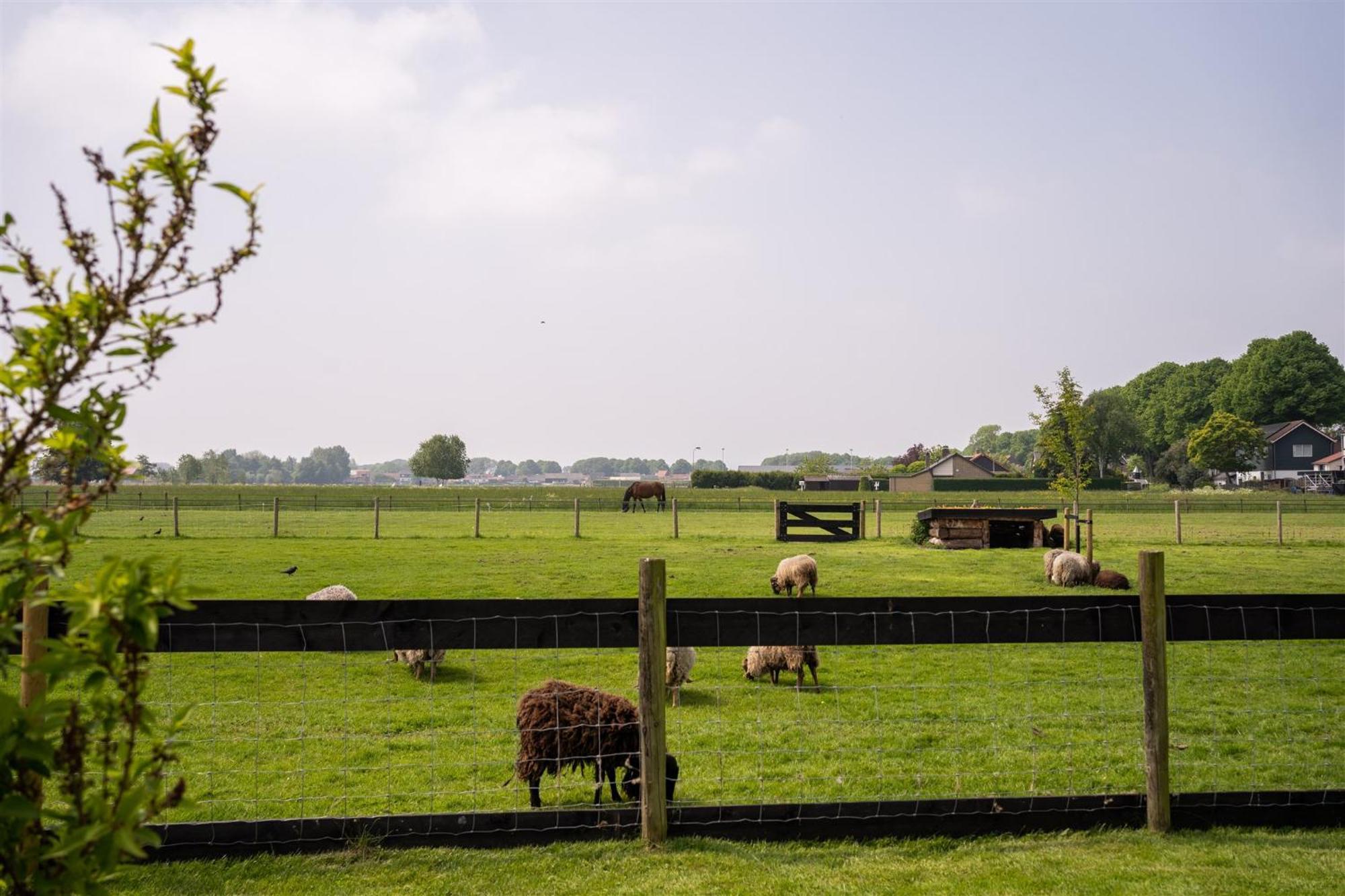 Vakantiewoning Le Garaazje 'S-Gravendeel Bagian luar foto