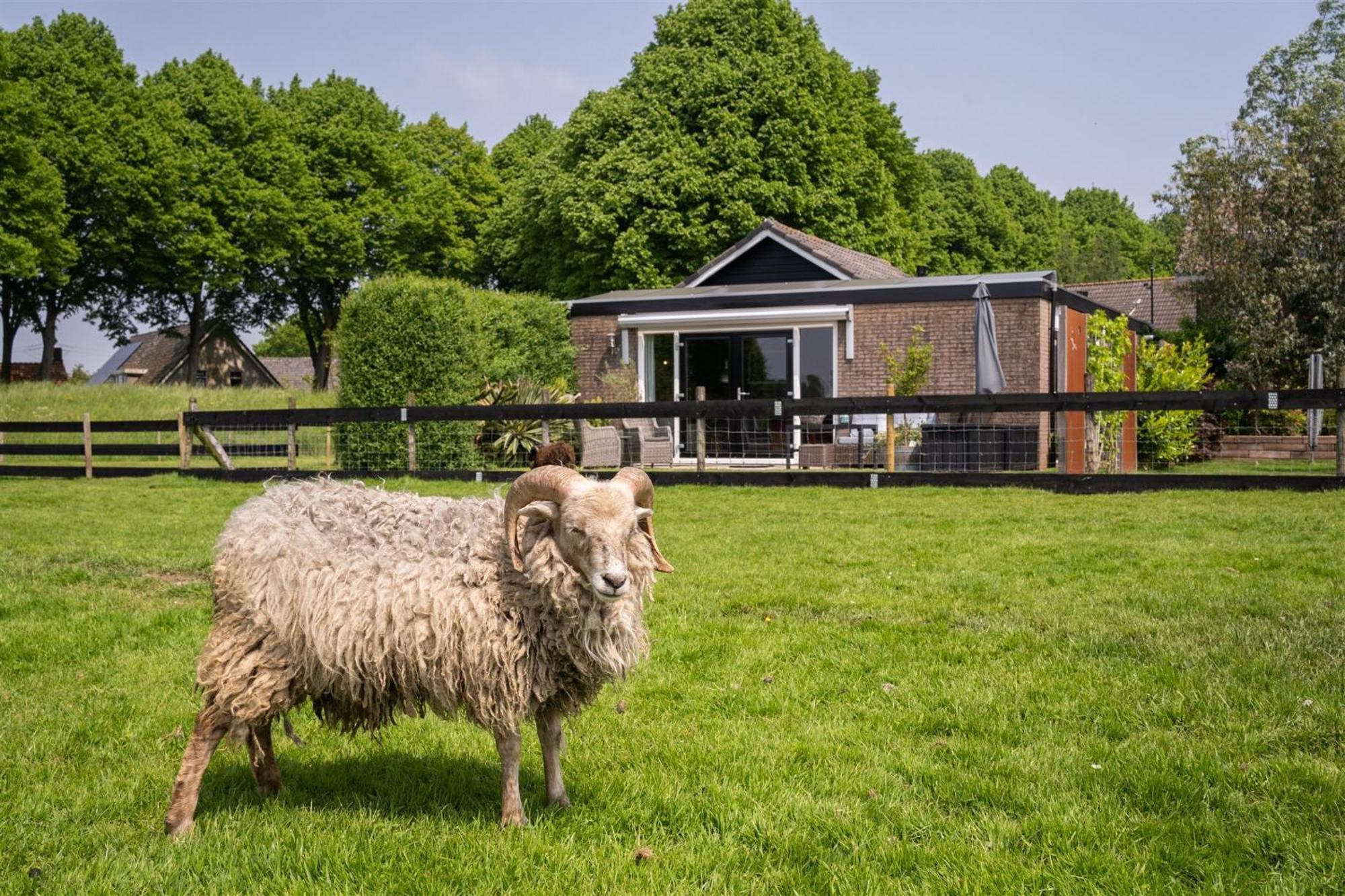 Vakantiewoning Le Garaazje 'S-Gravendeel Bagian luar foto