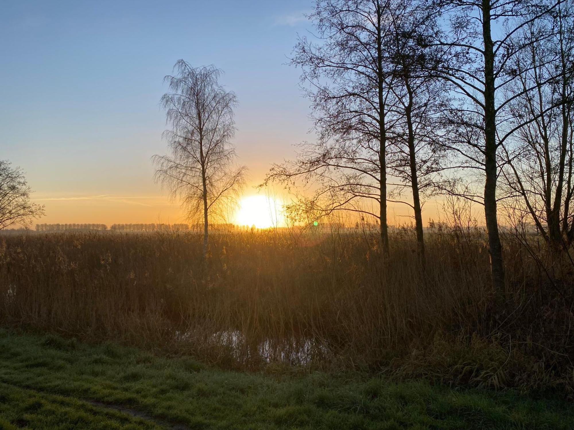 Vakantiewoning Le Garaazje 'S-Gravendeel Bagian luar foto