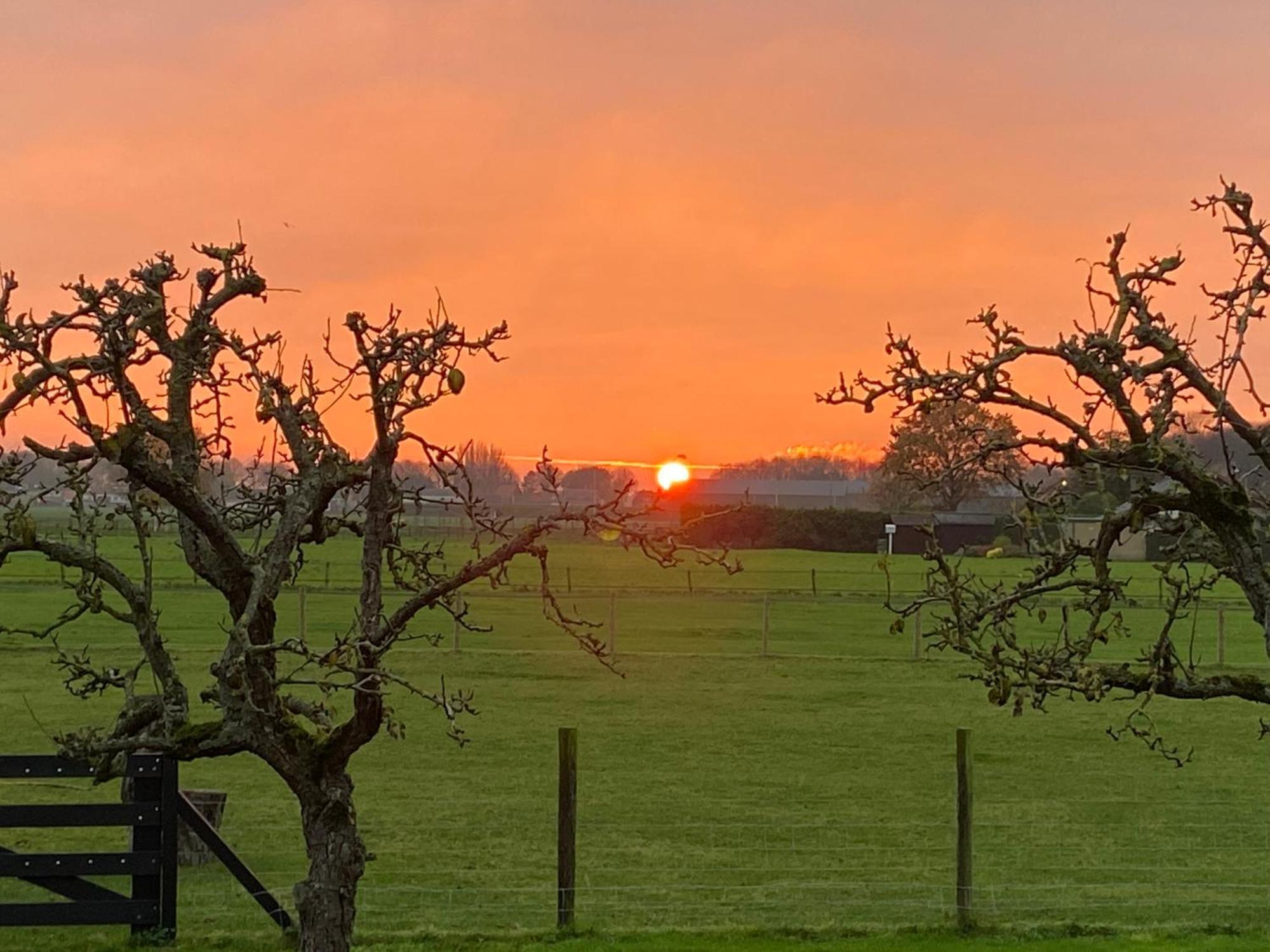 Vakantiewoning Le Garaazje 'S-Gravendeel Bagian luar foto