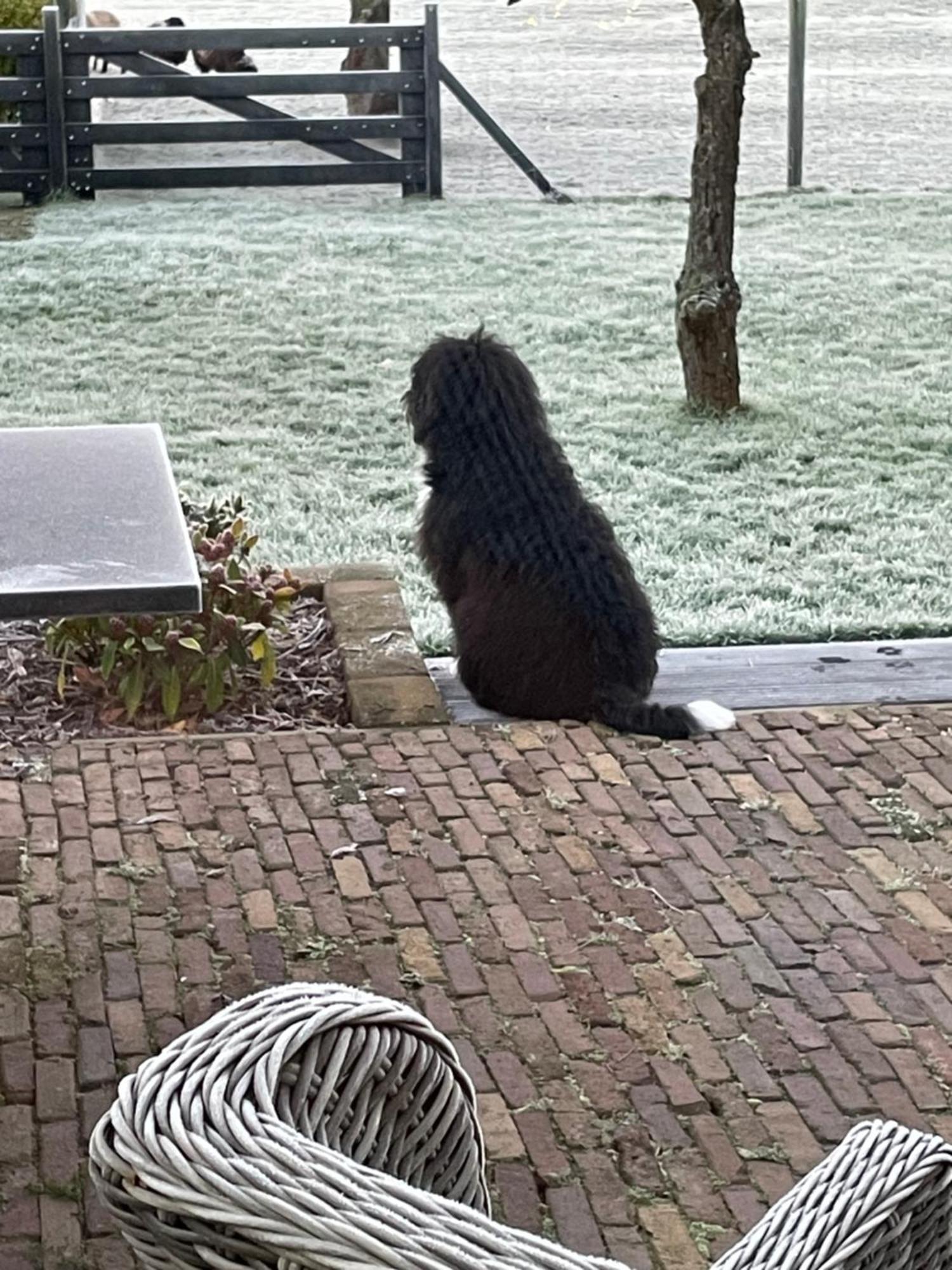 Vakantiewoning Le Garaazje 'S-Gravendeel Bagian luar foto