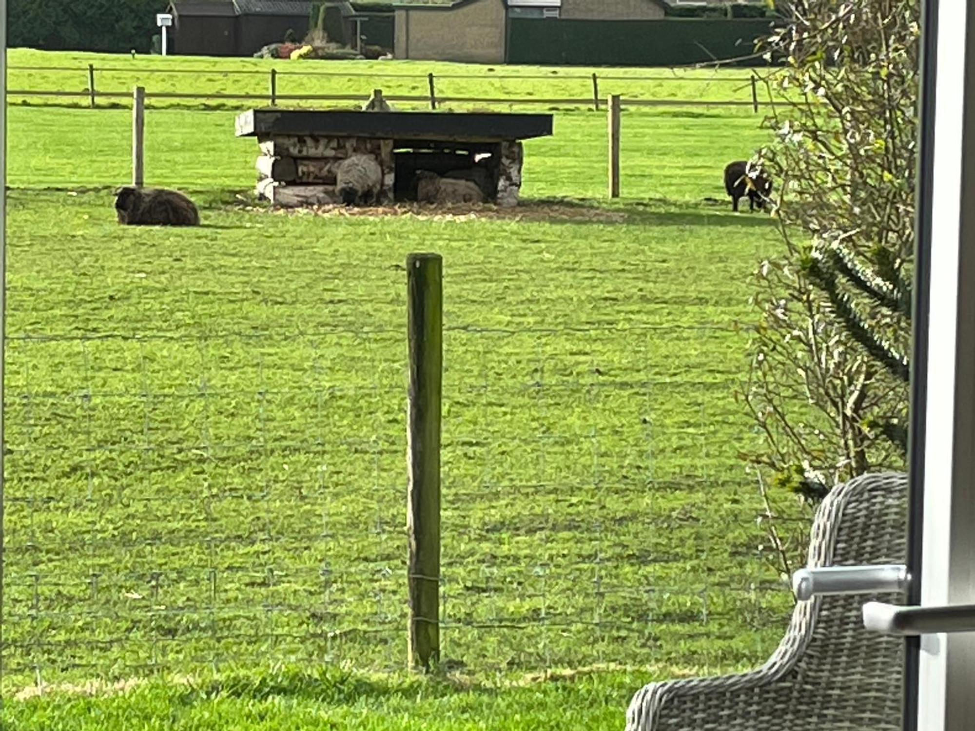 Vakantiewoning Le Garaazje 'S-Gravendeel Bagian luar foto