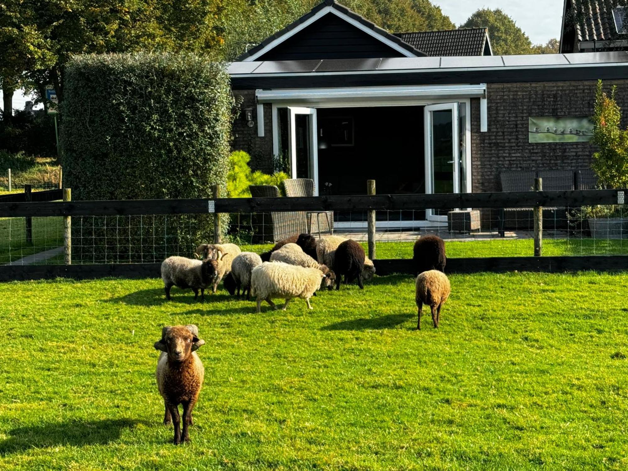 Vakantiewoning Le Garaazje 'S-Gravendeel Bagian luar foto