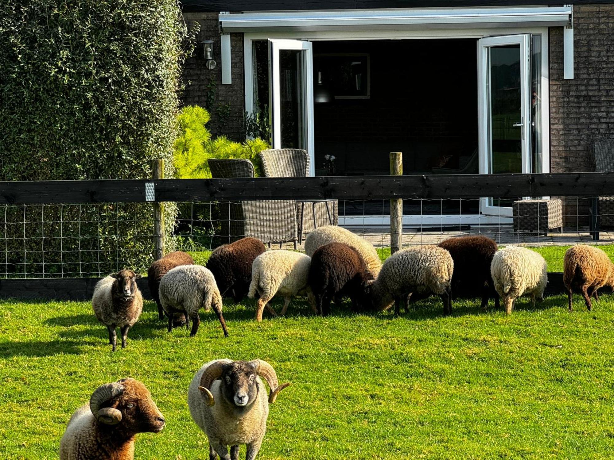Vakantiewoning Le Garaazje 'S-Gravendeel Bagian luar foto