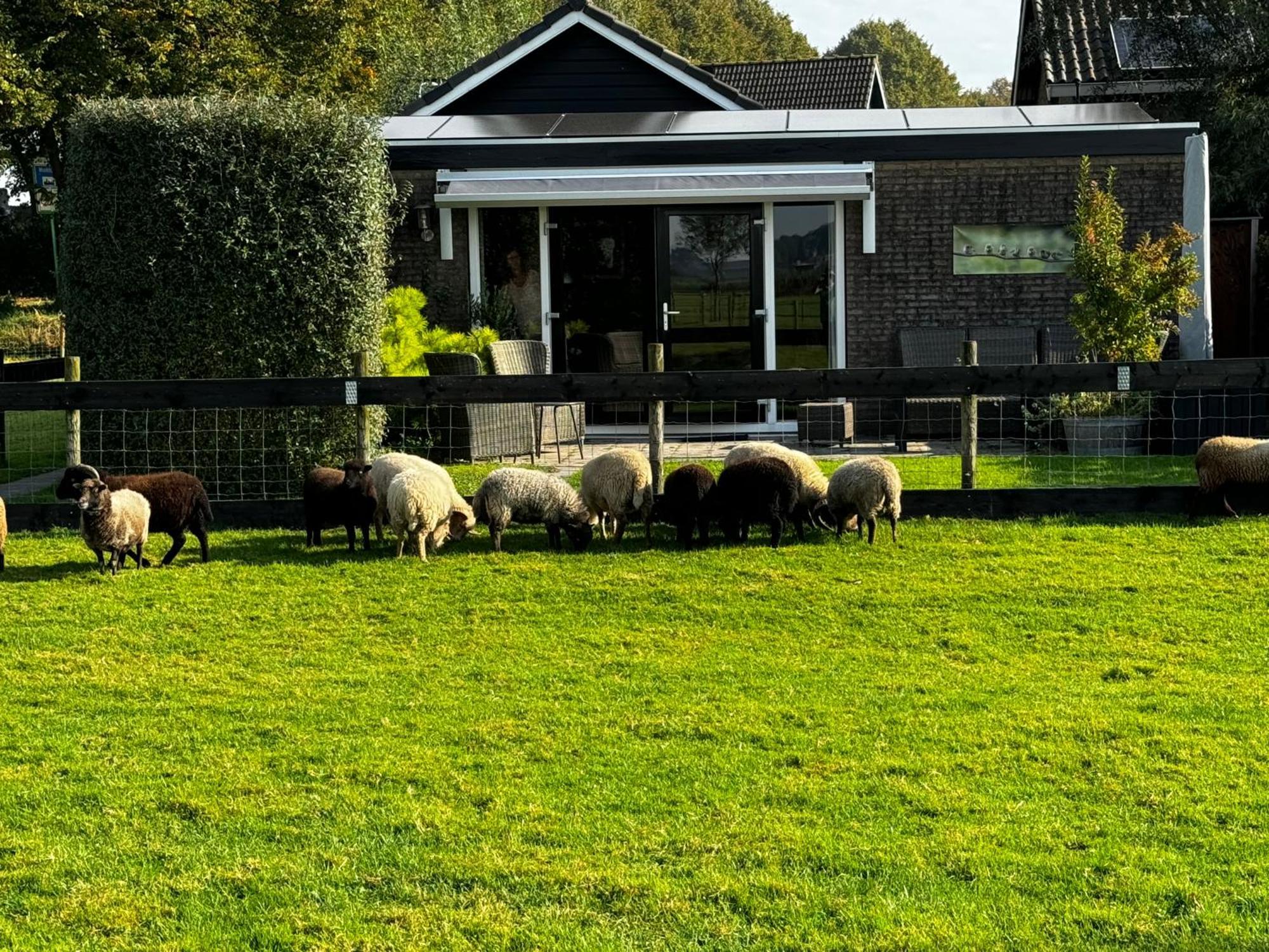 Vakantiewoning Le Garaazje 'S-Gravendeel Bagian luar foto